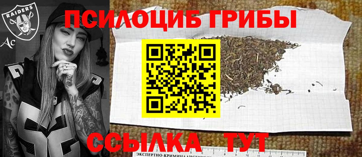 Псилоцибиновые грибы Psilocybine cubensis Сочи
