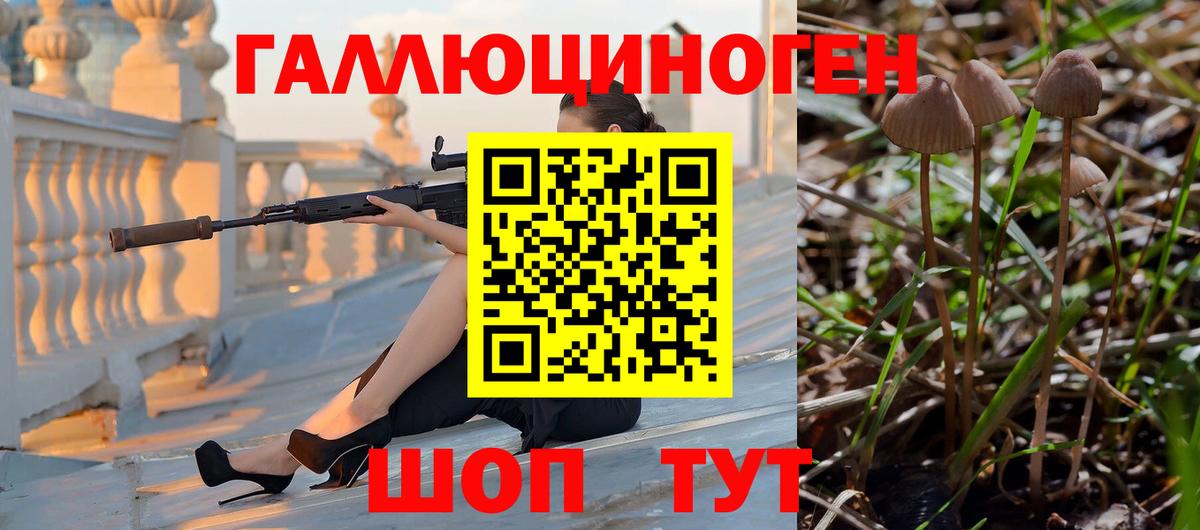 Псилоцибиновые грибы GOLDEN TEACHER  Вход с VPN  Сочи 
